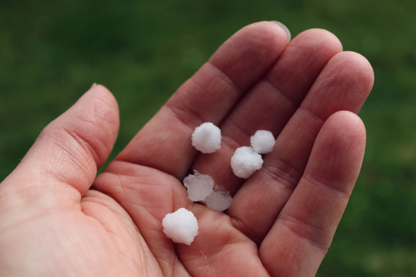 Several hailstones held in an open hand over a grassy yard