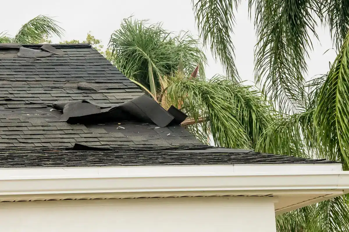 Asphalt shingles lifted and torn at the edge of a house roof after Hurricane Irma in Sebring, Florida