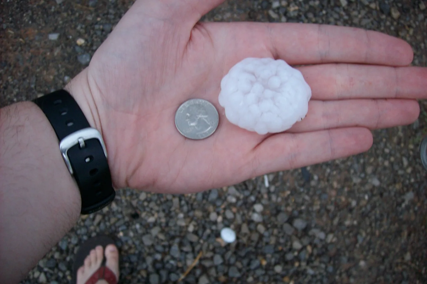 Hailstone about the size of a half dollar held in a palm next to a coin for scale, photographed in Hammon, Oklahoma