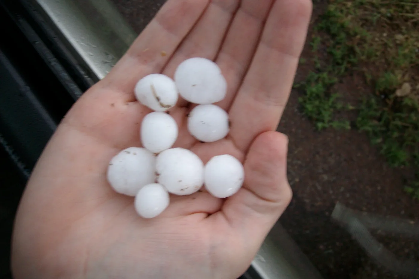 Marble-size hailstones gathered in a palm, photographed in Sayre, Oklahoma