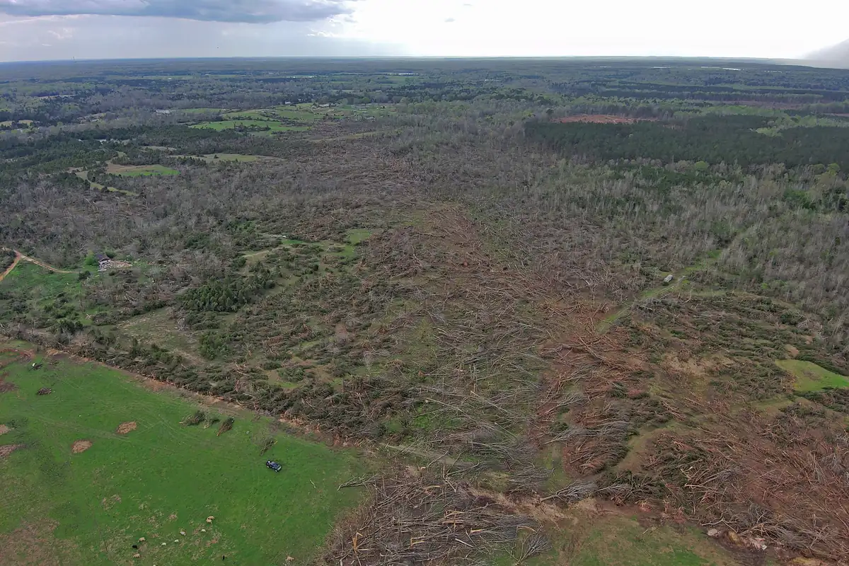 Aerial view of a tornado damage path through forest near West Blocton, Alabama, photographed from an uncrewed aircraft