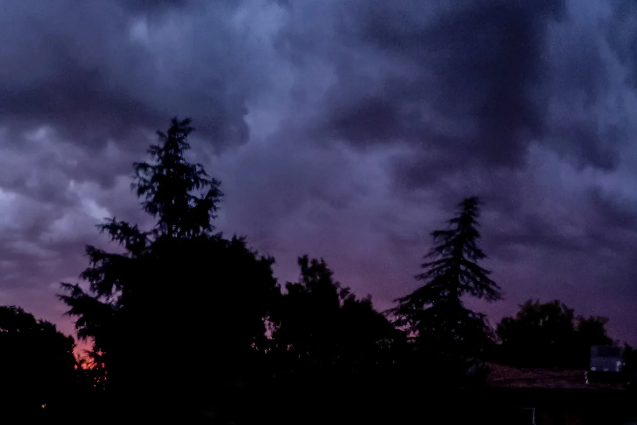 Dark thunderstorm clouds over silhouetted trees at dawn in Fresno, California