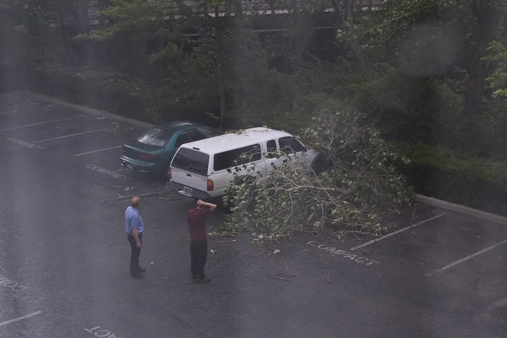 Fallen tree limbs across a parked SUV in a lot after a thunderstorm in Boise, Idaho