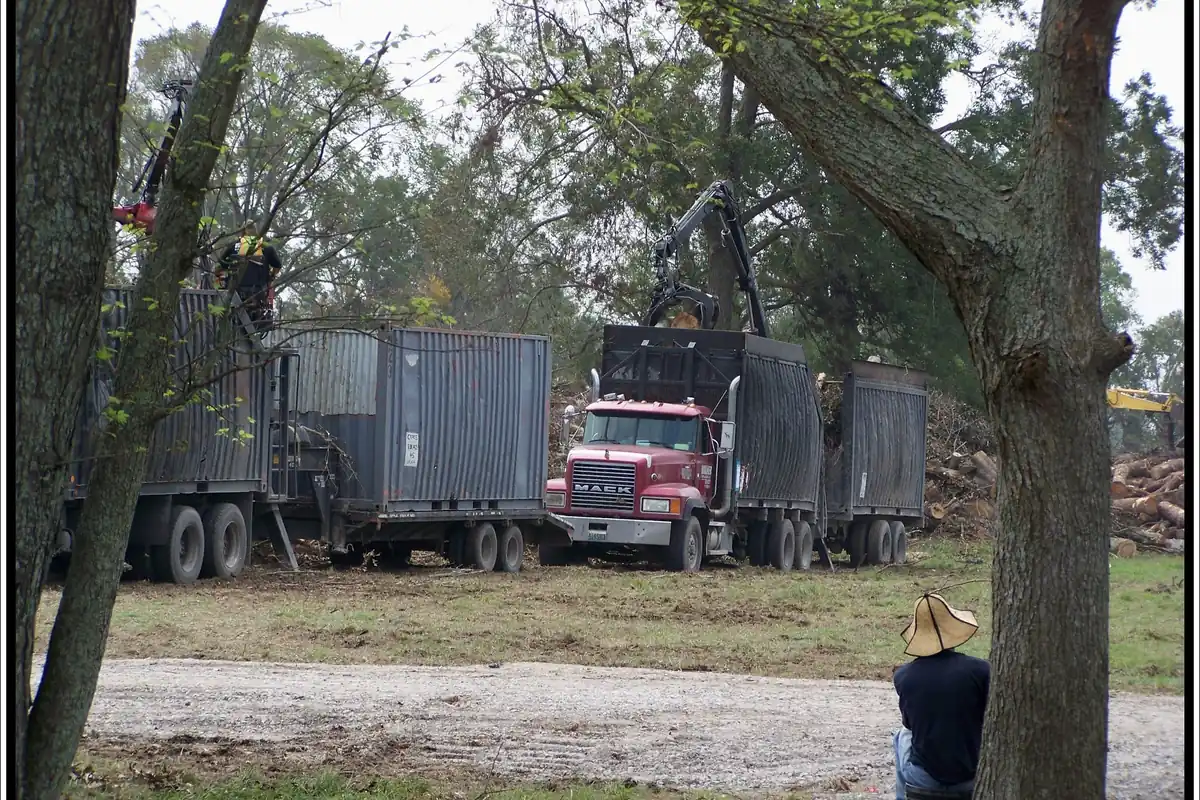 Debris truck and grapple loader clearing downed trees in Baton Rouge, Louisiana, after Hurricane Ike