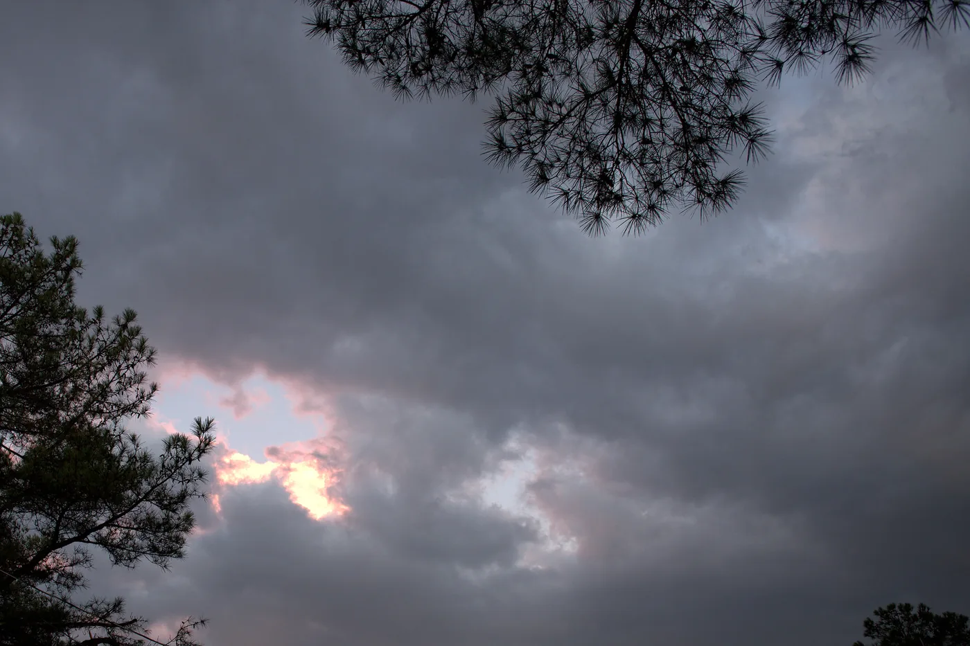 Dark storm clouds over pine trees in Fayetteville, North Carolina, after February storms