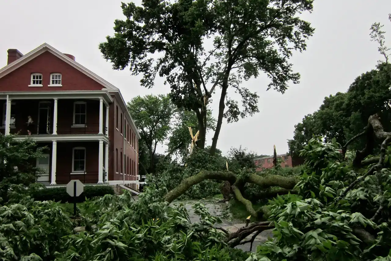 Large tree uprooted beside a brick house in Omaha after straight-line winds from a severe thunderstorm