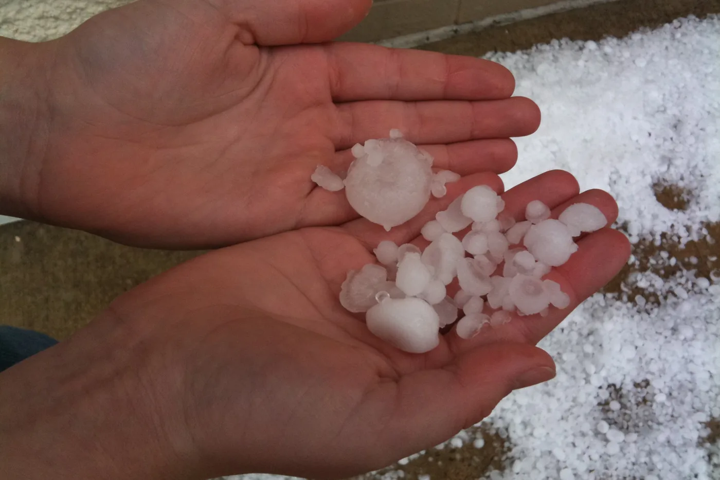 Handful of hailstones collected after a hailstorm in Oklahoma City