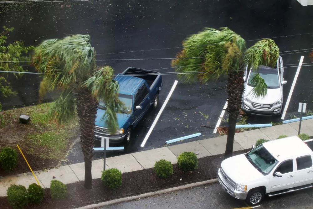 Palm trees whipped by wind and rain from Hurricane Matthew over a parking lot in Charleston, South Carolina