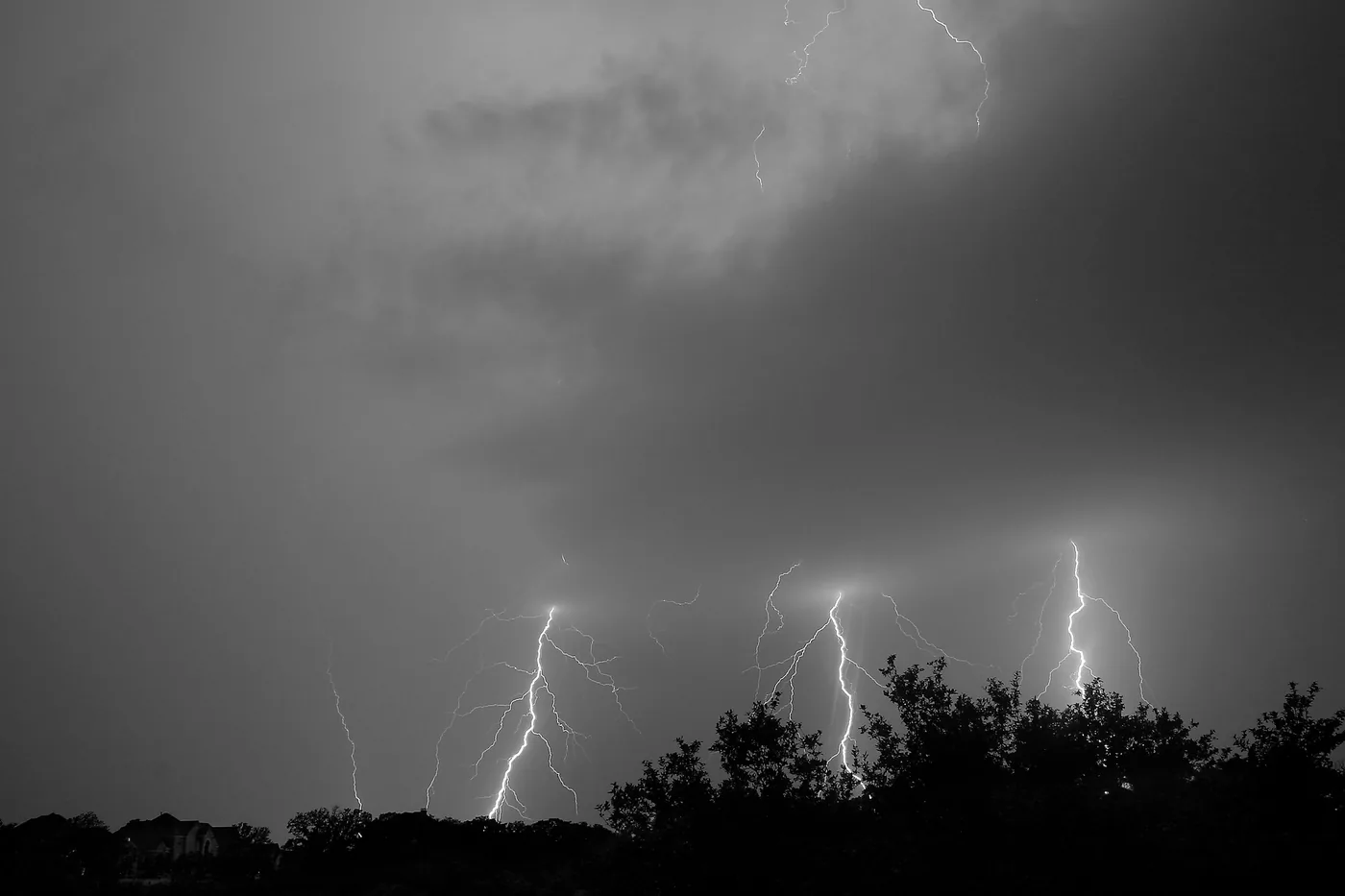 Several lightning bolts striking from a small storm cell beyond treetops at night in Arlington, Texas