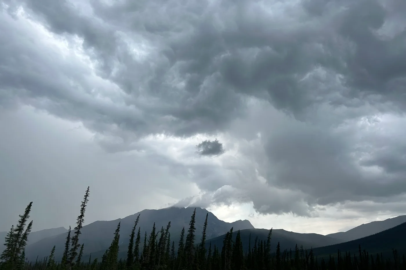 Summer thunderstorm with heavy rain and wind sweeping over spruce forest and mountains in Alaska's Brooks Range