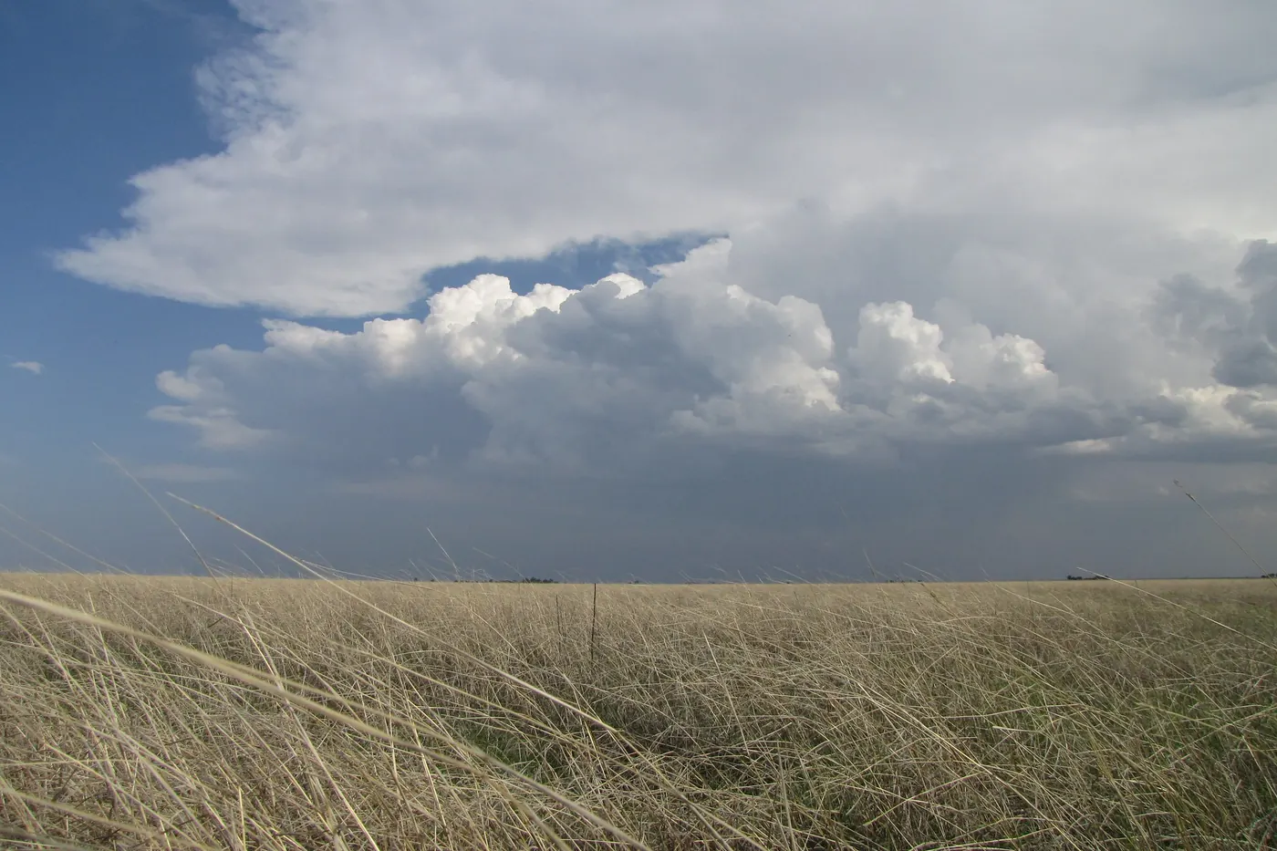 Thunderstorm over open country in the Texas Panhandle near Childress