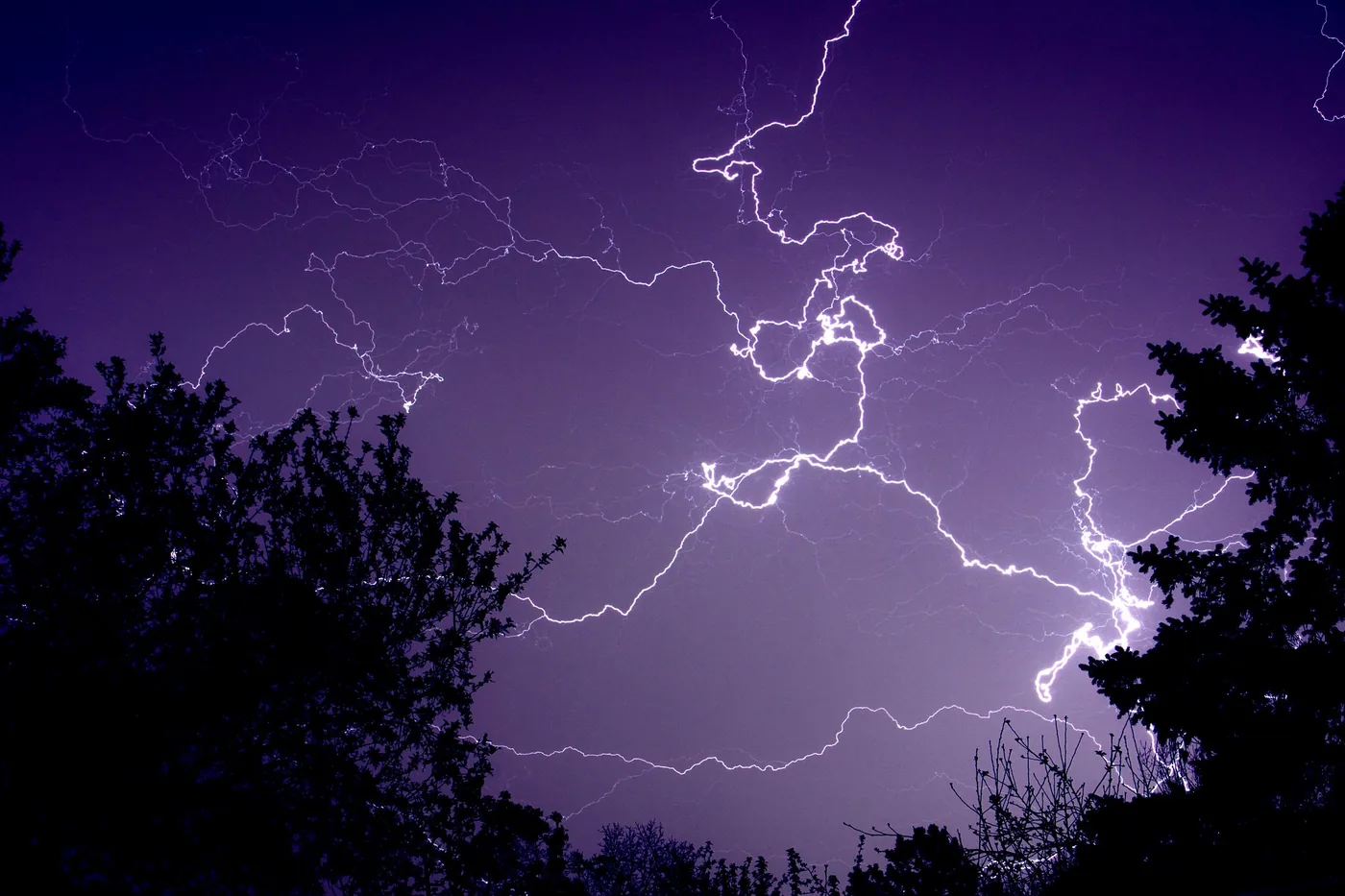 Branching lightning across the night sky above treetops during a Wisconsin thunderstorm